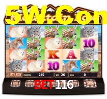 Bet116.Com